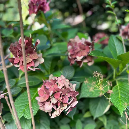 Appartamento Haus Schoensee