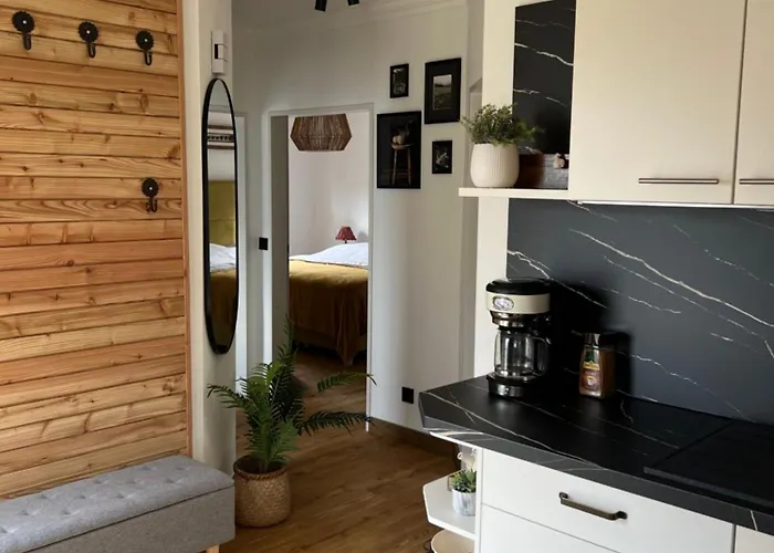 Haus Schoensee - 2 Apartments, Ideal Fuer Familien & Freunde * Heede