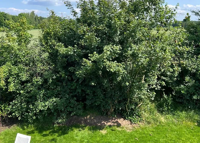 Lejlighed Haus Schoensee