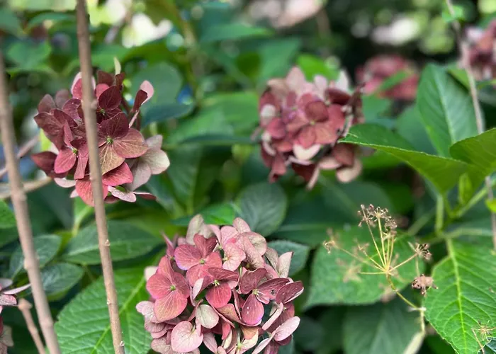 Lejlighed Haus Schoensee